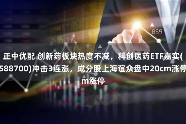 正中优配 创新药板块热度不减,科创医药ETF嘉实(588700)冲击3连涨,成分股上海谊众盘中20cm涨停
